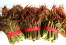 春季養生吃什麼？14種時令食物推薦，順時而食最養人