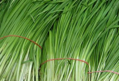 春季吃韭菜有助增進食欲如何挑選?