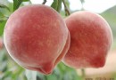 揭秘常見「人造毒」水果：12種化學處理手法與健康風險全解析