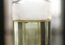 秋季皮膚乾癢難耐？四招輕鬆擺脫皮膚瘙癢困擾