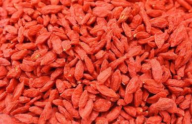 什麼人不適合枸杞子泡水喝?