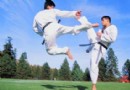 青少年跆拳道運動損傷預防指南：常見傷害部位、成因分析與科學防護對策