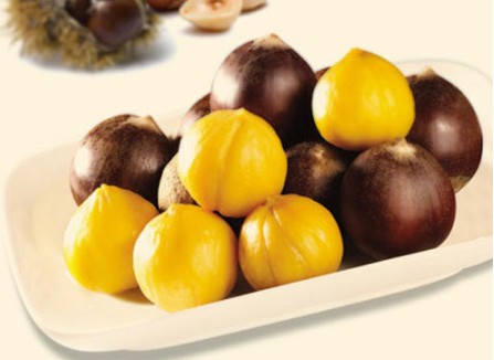 栗子和什麼不能一起吃