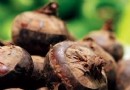 蔬果到底要不要連皮吃？這5種果皮別碰、2種連皮更營養