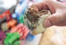 常吃這兩類食物恐增肝癌風險！發霉食品與變質油品務必遠離