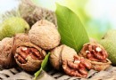 預防老年癡呆怎麼吃？10種健腦食物與5大前兆症狀一次看懂