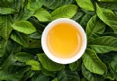 養生保健茶有哪些？常見種類、茶療類型與分類方式全解析