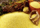 小米粥養胃嗎？中醫揭密小米養胃功效與5款養胃小米粥做法