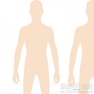 冬季養生好食譜補腎養發又滋補