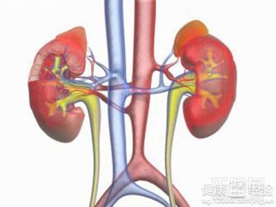 尿毒症可以吃什麼治療的重中之重