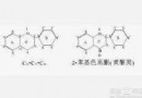 生物類黃酮的作用和功效：認識維生素P對血管與關節的健康價值