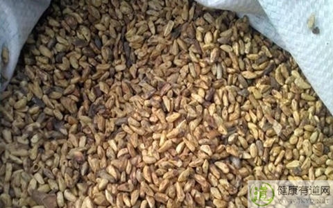 吃石榴吐籽嗎 吃石榴吐籽嗎