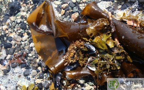 濕疹吃什麼 濕疹吃什麼