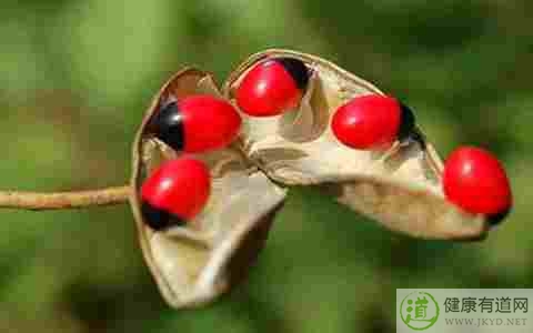 紅豆吃多了會怎麼樣 紅豆吃多了會怎麼樣