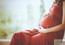 蛇肉不能和什麼一起吃？飲食禁忌、適用人群與營養價值全解析