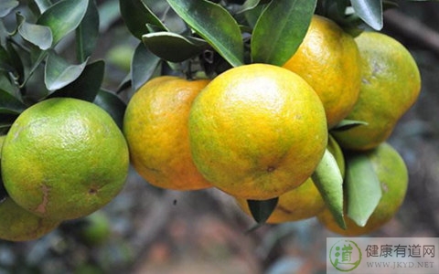 蘆柑不能和什麼一起吃_蘆柑和什麼相克 蘆柑不能和什麼一起吃_蘆柑和什麼相克