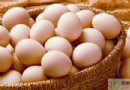 雞蛋不能和什麼一起吃？相剋食物、營養搭配與家常做法全解析