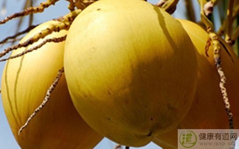 椰子不能和什麼一起吃_椰子和什麼相克 椰子不能和什麼一起吃_椰子和什麼相克