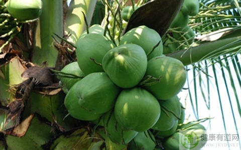 椰子不能和什麼一起吃_椰子和什麼相克 椰子不能和什麼一起吃_椰子和什麼相克