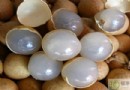 龍眼吃多了會怎樣？解析過量食用的4大影響、5大功效與食用禁忌