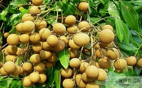 龍眼吃多了會怎樣 龍眼吃多了會怎樣