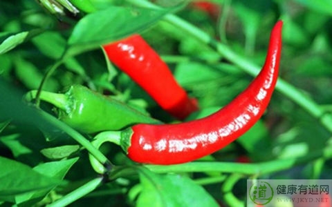 辣椒吃多了會怎樣 辣椒吃多了會怎樣