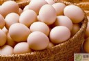 雞蛋吃多了會怎樣？四大健康風險、食用禁忌與最佳烹調方式一次看懂