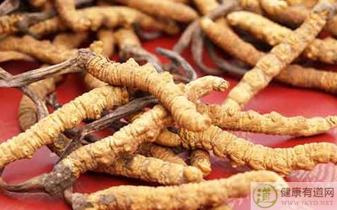 冬蟲夏草不能和什麼一起吃_冬蟲夏草和什麼相克 冬蟲夏草不能和什麼一起吃_冬蟲夏草和什麼相克
