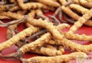 冬蟲夏草不能和什麼一起吃？禁忌族群、相剋疑慮與正確吃法全解析