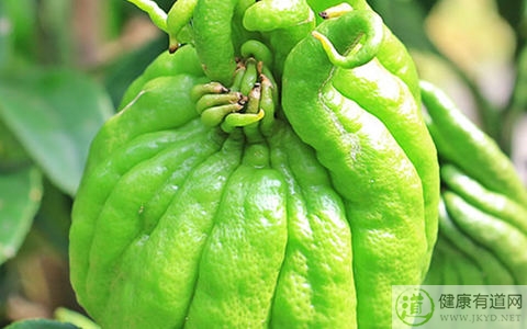 佛手柑不能和什麼一起吃_佛手柑和什麼相克 佛手柑不能和什麼一起吃_佛手柑和什麼相克