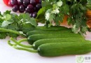 枇杷不能和什麼一起吃？枇杷相剋食物、慎吃人群與營養食譜全攻略