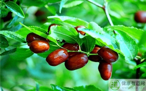 蒜不能和什麼一起吃_蒜和什麼相克 蒜不能和什麼一起吃_蒜和什麼相克