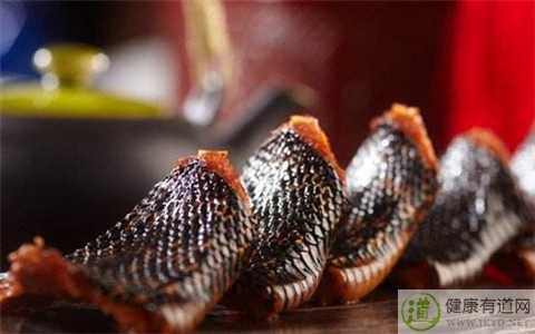蛇肉不能和什麼一起吃_蛇肉和什麼相克 蛇肉不能和什麼一起吃_蛇肉和什麼相克