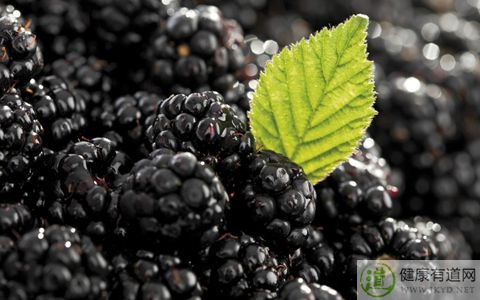 桑椹不能和什麼一起吃_桑椹和什麼相克 桑椹不能和什麼一起吃_桑椹和什麼相克