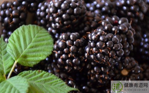 桑椹不能和什麼一起吃_桑椹和什麼相克 桑椹不能和什麼一起吃_桑椹和什麼相克