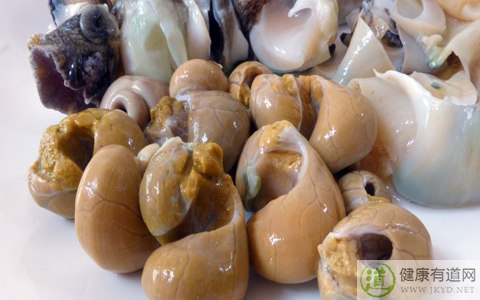 海螺哪些部位不能吃 海螺哪些部位不能吃