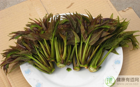 哪些人不能吃香椿 哪些人不能吃香椿