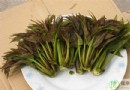 哪些人不能吃香椿？五類禁食族群與六大飲食禁忌全解析
