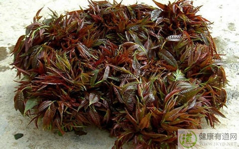 哪些人不能吃香椿 哪些人不能吃香椿