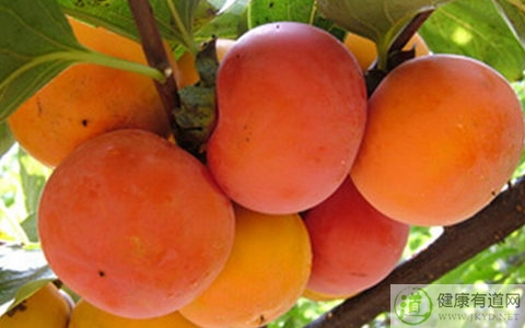 柿子吃多了會胖嗎 柿子吃多了會胖嗎