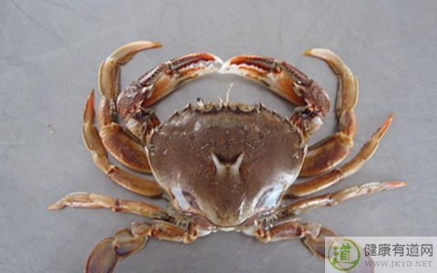 螃蟹吃多了會上火嗎 螃蟹吃多了會上火嗎