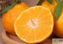 蜜柑不能和什麼一起吃？六大飲食禁忌、營養價值與推薦吃法全解析