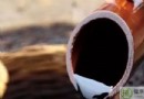 醋不能和什麼一起吃？醋的相剋禁忌、正確吃法與營養價值全解析