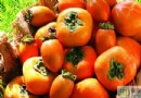 柿子不能和什麼一起吃？相剋食物、禁忌族群與正確吃法全解析