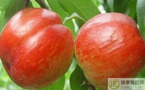 油桃不能和什麼一起吃_油桃和什麼相克
