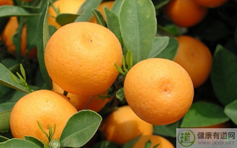 金橘不能和什麼一起吃_金橘和什麼相克 金橘不能和什麼一起吃_金橘和什麼相克