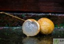 龍眼不能和什麼一起吃？飲食禁忌、正確吃法與營養價值全解析