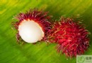 紅毛丹不能和什麼一起吃？食用禁忌、正確吃法與營養價值全解析
