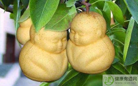 人參果不能和什麼一起吃_人參果和什麼相克 人參果不能和什麼一起吃_人參果和什麼相克