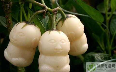 人參果不能和什麼一起吃_人參果和什麼相克 人參果不能和什麼一起吃_人參果和什麼相克